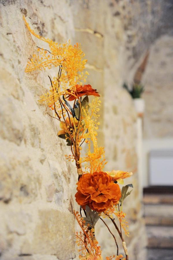 O Rosa Bella Appartamento Via Savelli Della Porta 24 Gubbio Zewnętrze zdjęcie