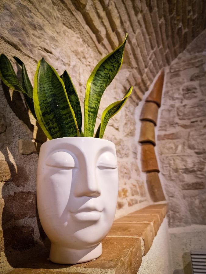 O Rosa Bella Appartamento Via Savelli Della Porta 24 Gubbio Zewnętrze zdjęcie